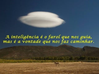 A inteligência é o farol que nos guia,
mas é a vontade que nos faz caminhar.
 