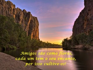 Amigos são como flores,
cada um tem o seu encanto,
por isso cultive-os!
 