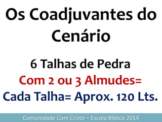 Os Coadjuvantes do
Cenário
Comunidade Com Cristo – Escola Bíblica 2014
6 Talhas de Pedra
Com 2 ou 3 Almudes=
Cada Talha= Aprox. 120 Lts.
 