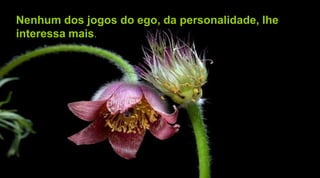 Nenhum dos jogos do ego, da personalidade, lhe
interessa mais.
 