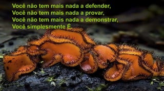 Você não tem mais nada a defender,
Você não tem mais nada a provar,
Você não tem mais nada a demonstrar,
Você simplesmente É.
 