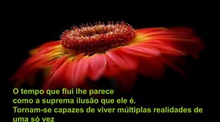 O tempo que flui lhe parece
como a suprema ilusão que ele é.
Tornam-se capazes de viver múltiplas realidades de
uma só vez
 