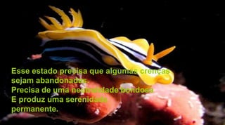 Esse estado precisa que algumas crenças
sejam abandonadas.
Precisa de uma neutralidade bondosa
E produz uma serenidade
permanente.
 
