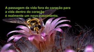A passagem da vida fora do coração para
a vida dentro do coração
é realmente um novo nascimento.
 
