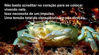 Não basta acreditar no coração para se colocar
vivendo nele.
Isso necessita de um impulso,
Uma tensão total da consciência em sua direção...
 