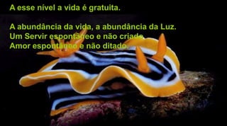 A esse nível a vida é gratuita.
A abundância da vida, a abundância da Luz.
Um Servir espontâneo e não criado
Amor espontâneo e não ditado.
 