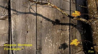 Fim
Imagens: Mondopps
Formatação: *
 