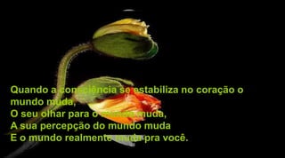 Quando a consciência se estabiliza no coração o
mundo muda,
O seu olhar para o mundo muda,
A sua percepção do mundo muda
E o mundo realmente muda pra você.
 