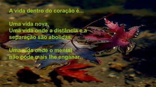 A vida dentro do coração é...
Uma vida nova,
Uma vida onde a distância e a
separação são abolidas,
Uma vida onde o mental
não pode mais lhe enganar.
 