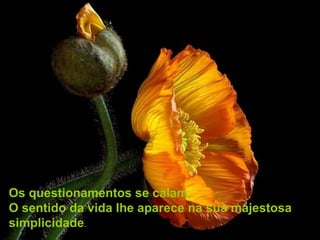 Os questionamentos se calam,
O sentido da vida lhe aparece na sua majestosa
simplicidade.
 