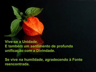 Vive-se a Unidade.
E também um sentimento de profunda
unificação com a Divindade.

Se vive na humildade, agradecendo à Fonte
reencontrada.
 