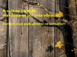 A vida no coração
manifesta-se por uma vibração.

Somente você pode penetrar no santuário!!!
 