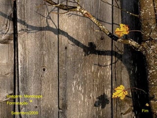 Imagens: Mondopps
Formatação: *
                    Fim
  Setembro/2009
 