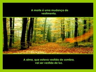 A alma, que estava vestida de sombra,  vai ser vestida de luz.    A morte é uma mudança de vestimenta.   