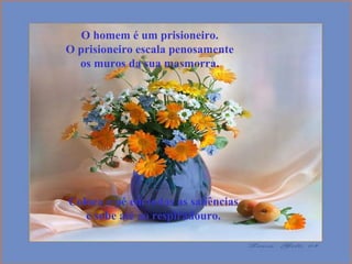 O homem é um prisioneiro.  O prisioneiro escala penosamente  os muros da sua masmorra.   Coloca o pé em todas as saliências  e sobe até ao respiradouro.   