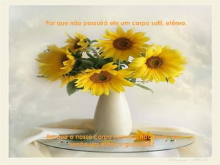 Por que não possuirá ele um corpo sutil, etéreo.   De que o nosso corpo humano não pode ser senão um esboço grosseiro?   