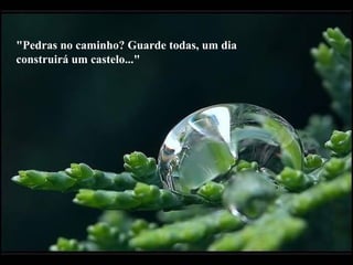 "Pedras no caminho? Guarde todas, um dia
construirá um castelo..."
 