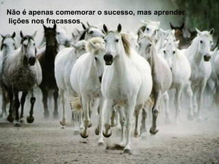 Não é apenas comemorar o sucesso, mas aprender
lições nos fracassos.
 