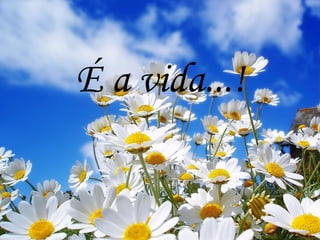 É a vida...!
 