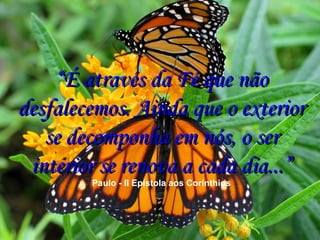 ““É através da Fé que nãoÉ através da Fé que não
desfalecemos. Ainda que o exteriordesfalecemos. Ainda que o exterior
se decomponha em nós, o serse decomponha em nós, o ser
interior se renova a cada dia...”interior se renova a cada dia...”
Paulo - II Epístola aos Corínthios
 