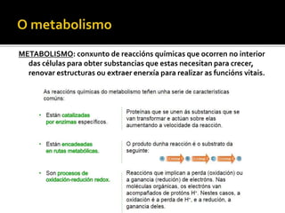 METABOLISMO: conxunto de reaccións químicas que ocorren no interior
das células para obter substancias que estas necesitan para crecer,
renovar estructuras ou extraer enerxía para realizar as funcións vitais.
 