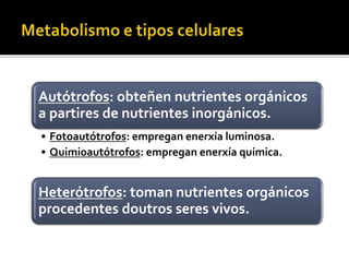 Autótrofos: obteñen nutrientes orgánicos
a partires de nutrientes inorgánicos.
• Fotoautótrofos: empregan enerxía luminosa.
• Quimioautótrofos: empregan enerxía química.
Heterótrofos: toman nutrientes orgánicos
procedentes doutros seres vivos.
 