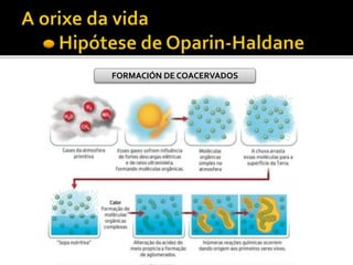 FORMACIÓN DE COACERVADOS
 