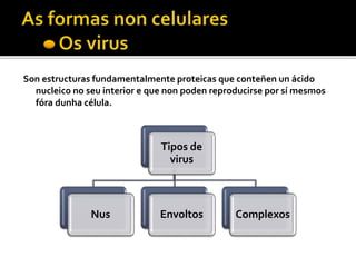 Son estructuras fundamentalmente proteicas que conteñen un ácido
nucleico no seu interior e que non poden reproducirse por sí mesmos
fóra dunha célula.
Tipos de
virus
Nus Envoltos Complexos
 