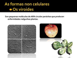 Son pequenas moléculas de ARN circular parásitas que producen
enfermidades nalgunhas plantas.
 