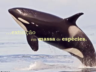 ...extinção
em massa de espécies.
 