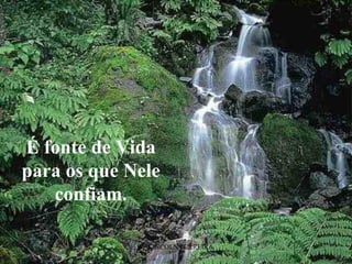 BY LINCOLN FERREIRA  É fonte de Vida para os que Nele confiam. 