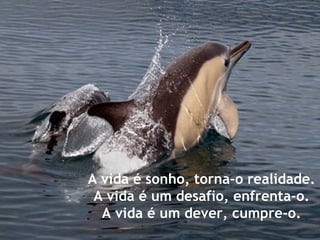 A vida é sonho, torna-o realidade. A vida é um desafio, enfrenta-o. A vida é um dever, cumpre-o. 