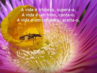 A vida é tristeza, supera-a. A vida é um hino, canta-o. A vida é um combate, aceita-o. 