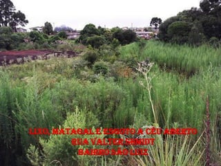 LIXO, MATAGAL E ESGOTO A CÉU ABERTO
         RUA VALTER SHMIDT
          BAIRRO SÃO LUIZ
 