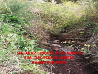 Matagal e esgoto a céu aberto
   Rua João Pedro carneiro
      Bairro bom Jesus
 