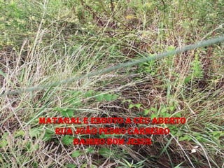 Matagal e esgoto a céu aberto
   Rua João Pedro carneiro
      Bairro bom Jesus
 