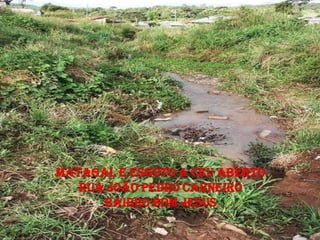 Matagal e esgoto a céu aberto
   Rua João Pedro carneiro
      Bairro bom Jesus
 