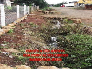 ESGOTO A CÉU ABERTO
RUA DIOGO ALVES RIBEIRO
   BAIRRO BOM JESUS
 