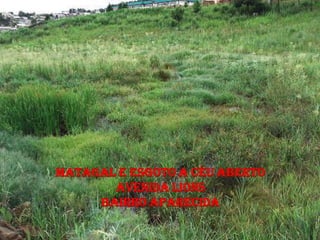 MATAGAL E ESGOTO A CÉU ABERTO
       AVENIDA LIONS
     BAIRRO APARECIDA
 