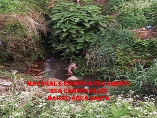MATAGAL E ESGOTO A CÉU ABERTO
      RUA CAMPOS SALES
     BAIRRO ÁGUA SANTA
 