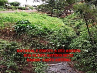 MATAGAL E ESGOTO A CÉU ABERTO
   RUA GLAICO ANTÔNIO ORTIZ
    BAIRRO SANTO ANTÔNIO
 