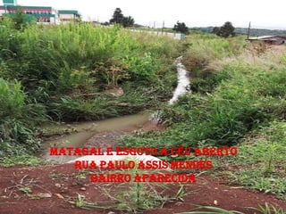 MATAGAL E ESGOTO A CÉU ABERTO
   RUA PAULO ASSIS MENDES
     BAIRRO APARECIDA
 