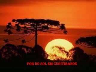 POR DO SOL EM CURITIBANOS
 