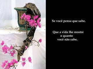 Se você pensa que sabe.Se você pensa que sabe.
Que a vida lhe mostreQue a vida lhe mostre
o quantoo quanto
você não sabe.você não sabe.
 