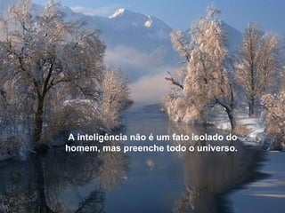 A inteligência não é um fato isolado do homem, mas preenche todo o universo.  