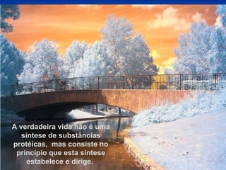 A verdadeira vida não é uma síntese de substâncias protéicas,  mas consiste no princípio que esta síntese estabelece e dirige.  
