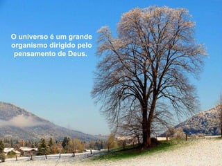 O universo é um grande organismo dirigido pelo pensamento de Deus.   