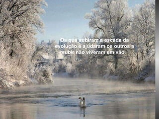 Os que subiram a escada da evolução e ajudaram os outros a subir não viveram em vão.  