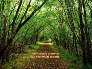 Não há desvio ou retornoque nos conduza para trás.