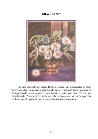 GRAVURA Nº 7




      Em um conjunto de várias flores e folhas, são observadas as sutis
diferenças das respectivas auras. Desde que a vitalidade dessas plantas vá
desaparecendo, com o correr das horas, a aura, por sua vez, se vai
modificando. A aura proveniente da vida ou força vital deixa de aparecer
no fenecimento, para só ficar a que provém da força atômica.




                                   61
 